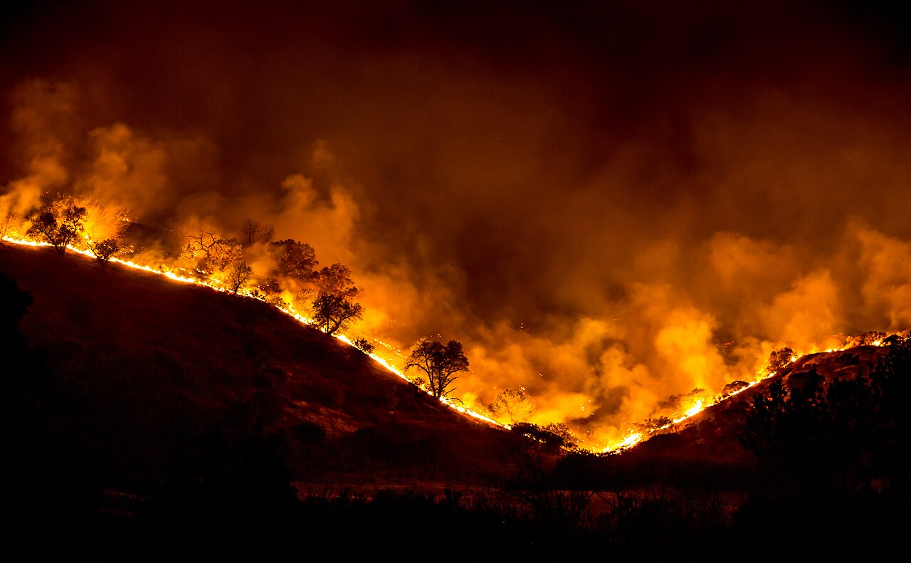 Woolsey Fire Tree Ridge In Flames 20181119 P B 008