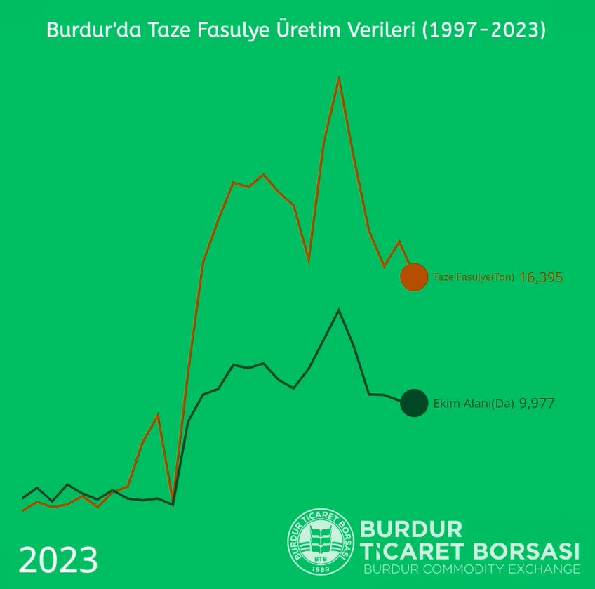 Btb Taze Fasulye