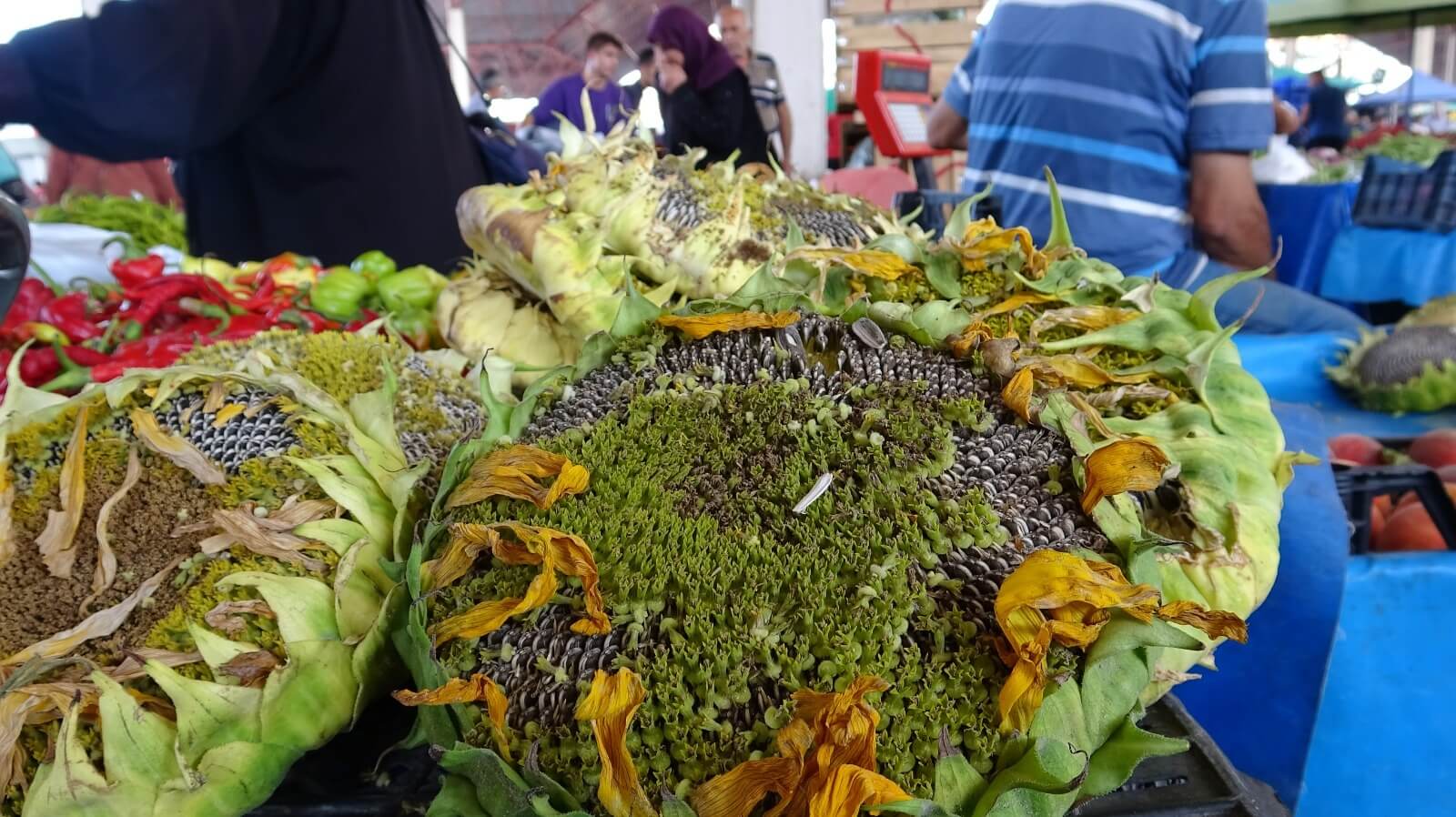 Burdur Sali Pazari Ay Cicegi Fiyatlari (1)