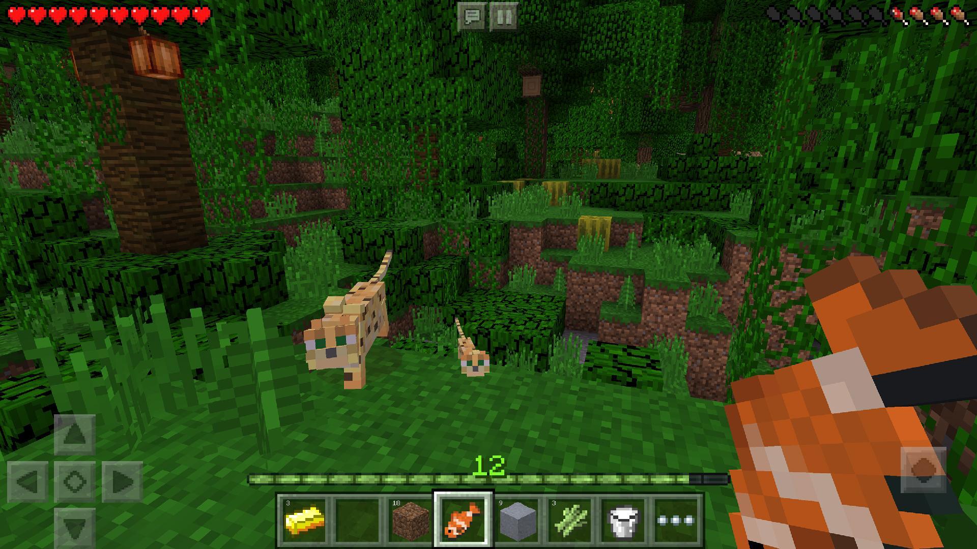 Minecraft Android Indir 3