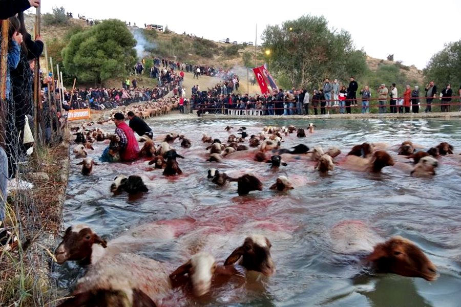 Yünüm Böğet Töreni Burdur 2024 025