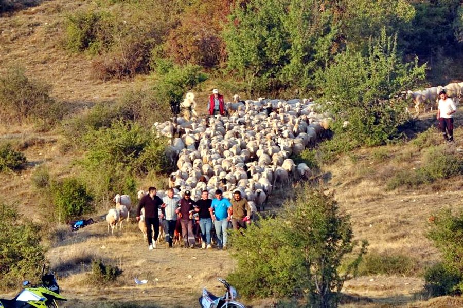 Yünüm Böğet Töreni Burdur 2024 027