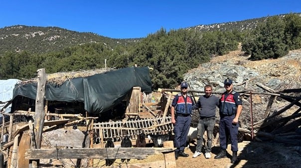 Burdur'da Kaybolan 42 Küçükbaş Hayvan Jandarma Ekipleri Tarafından Bulundu 2