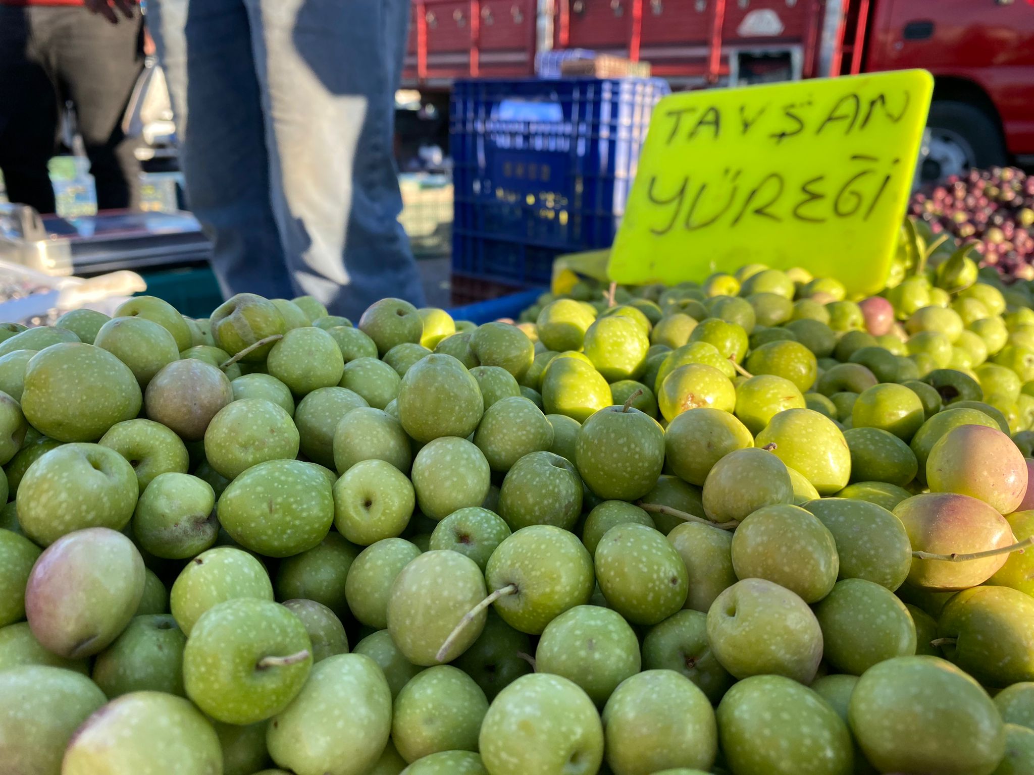 burdur zeytin fiyatları