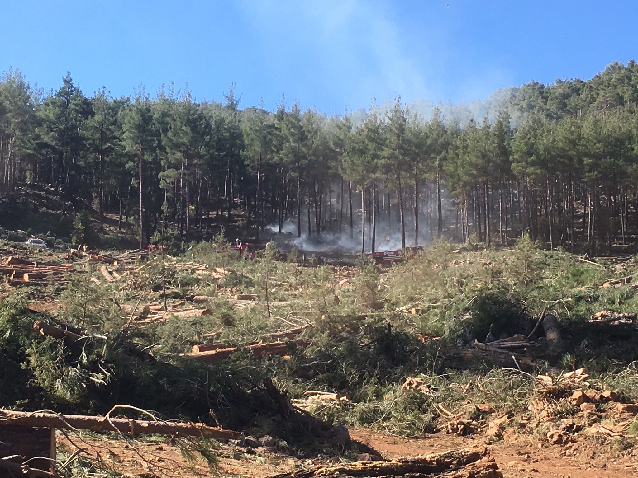 Burdur'da Orman Yangını