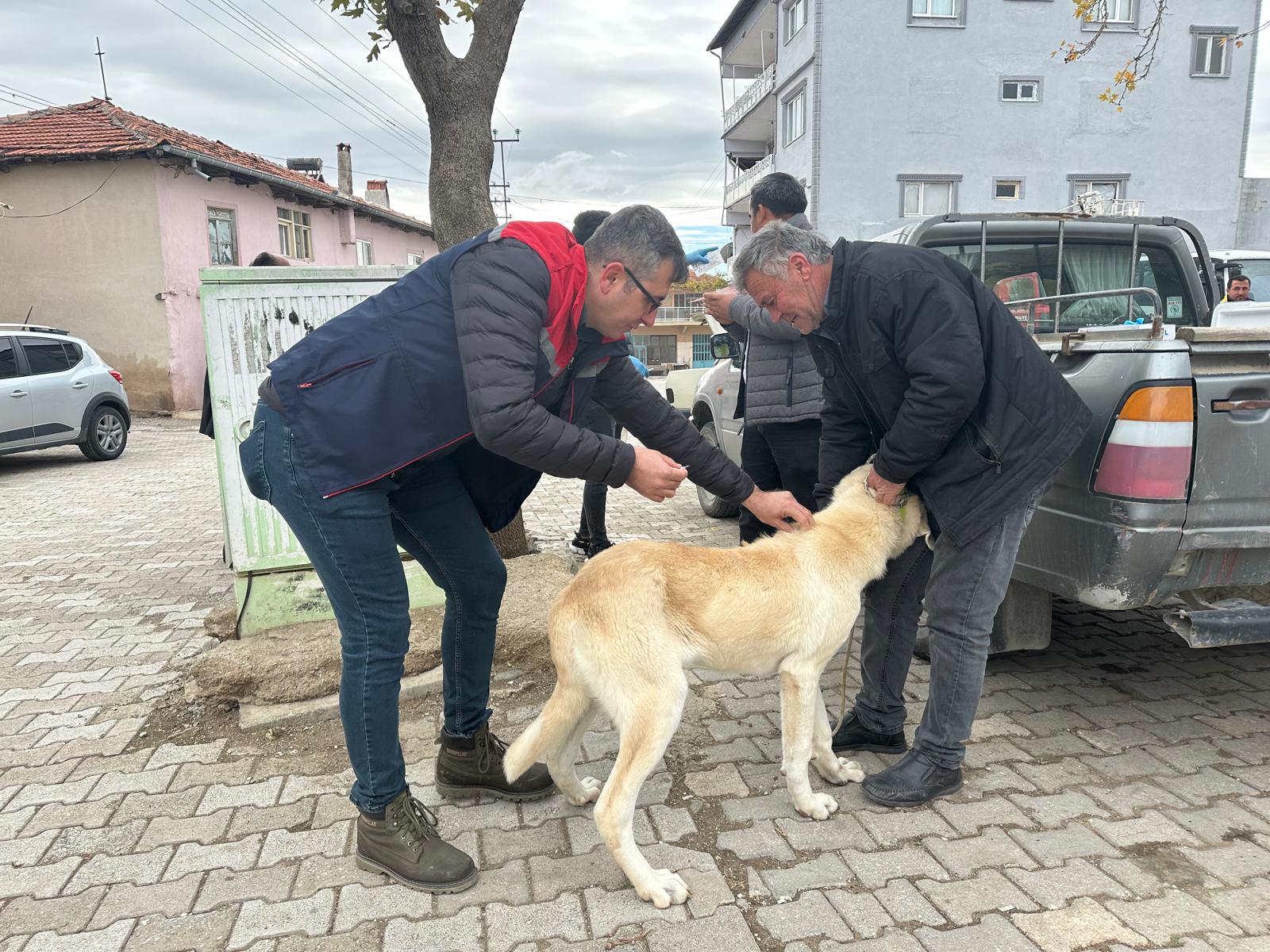 Burdur'da Sokak Hayvanlarına Mikroçip Ve Kuduz Aşısı Uygulandı 2