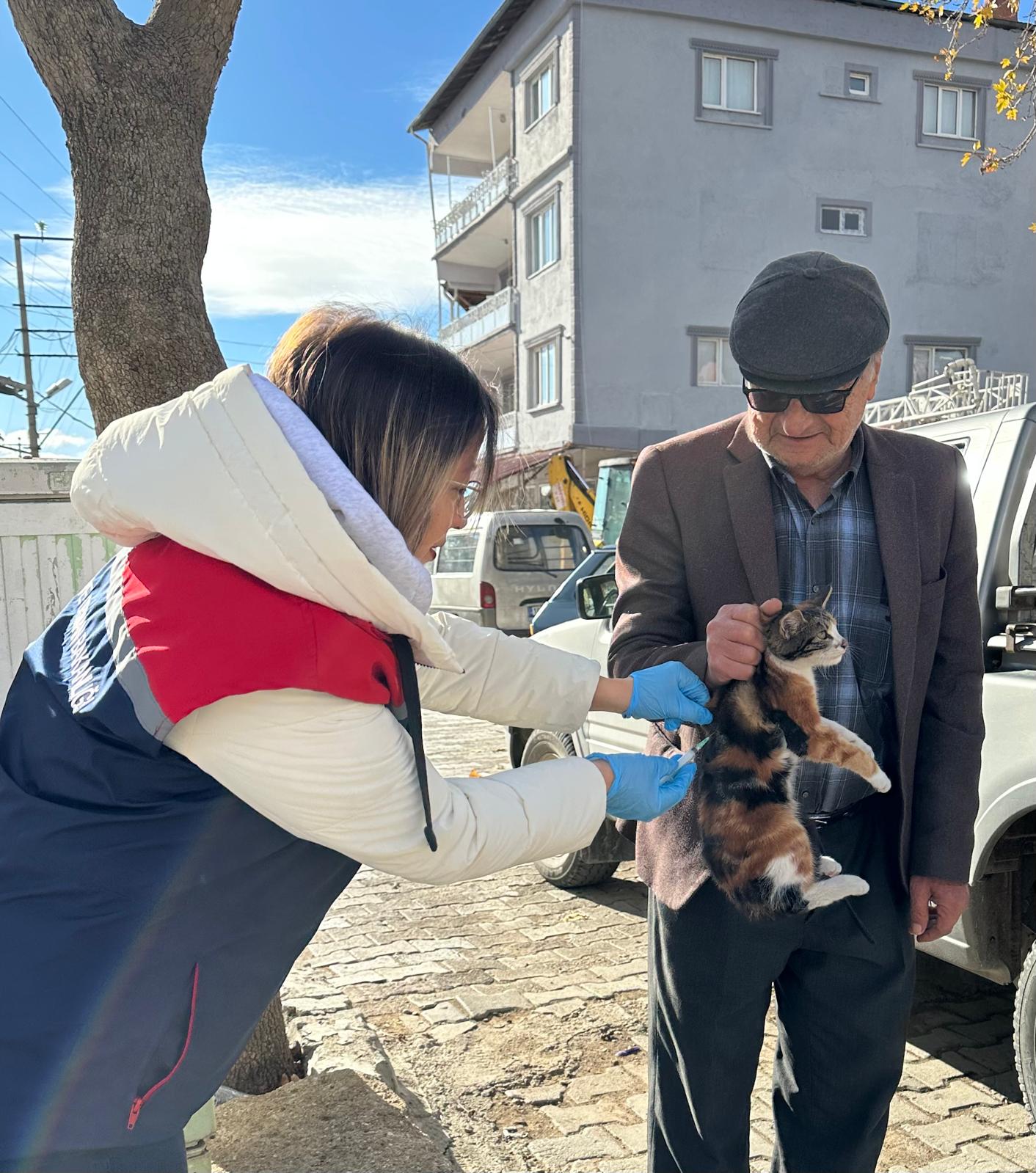 Burdur'da Sokak Hayvanlarına Mikroçip Ve Kuduz Aşısı Uygulandı 4