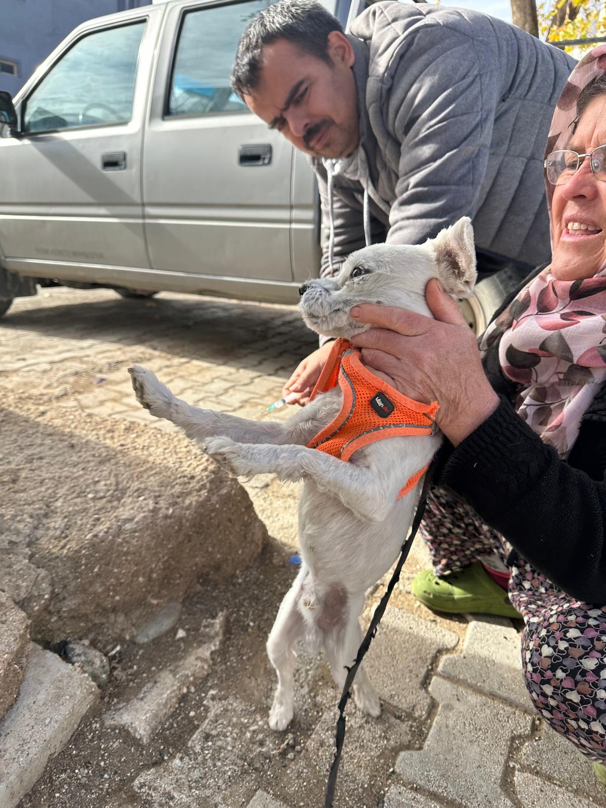 Burdur'da Sokak Hayvanlarına Mikroçip Ve Kuduz Aşısı Uygulandı