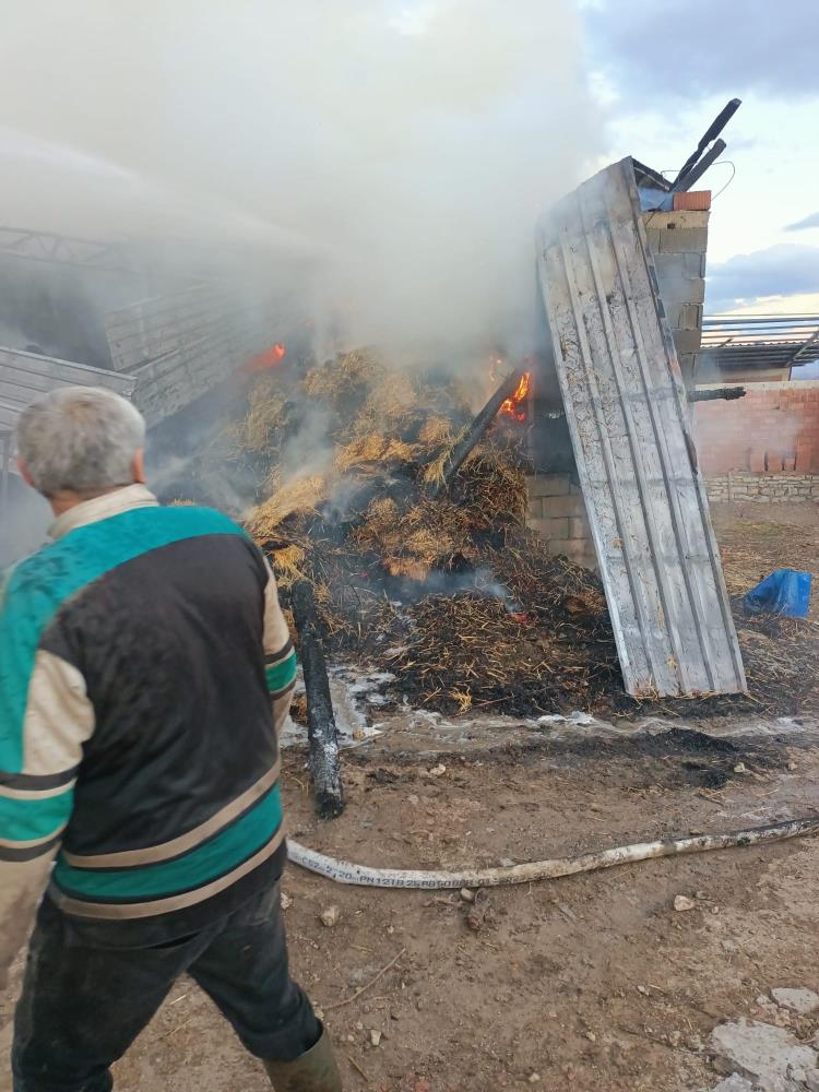 Komşuda Tonlarca Yem Ve 17 Hayvan Telef Oldu 3