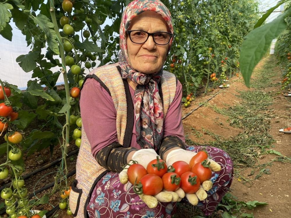 Şimdi Ise 75 Yaşında Serada Çalışıyor 4