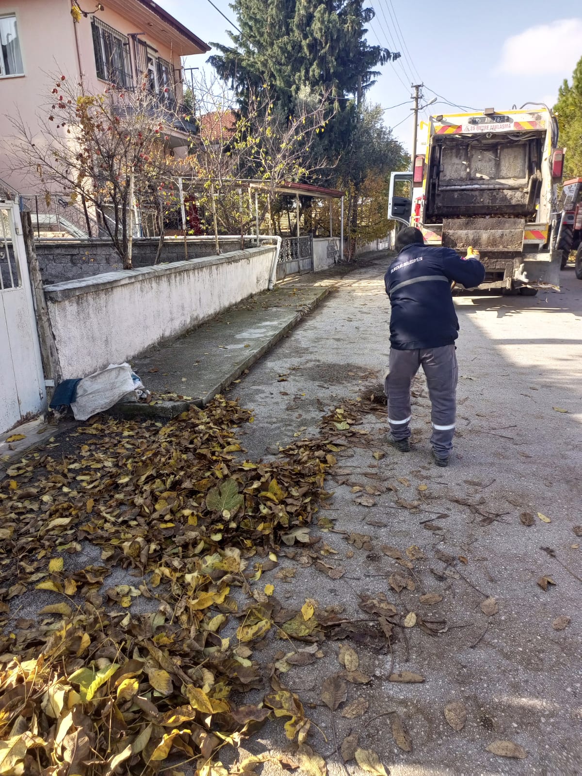 Sonbahar Temizliği Sürüyor (2)