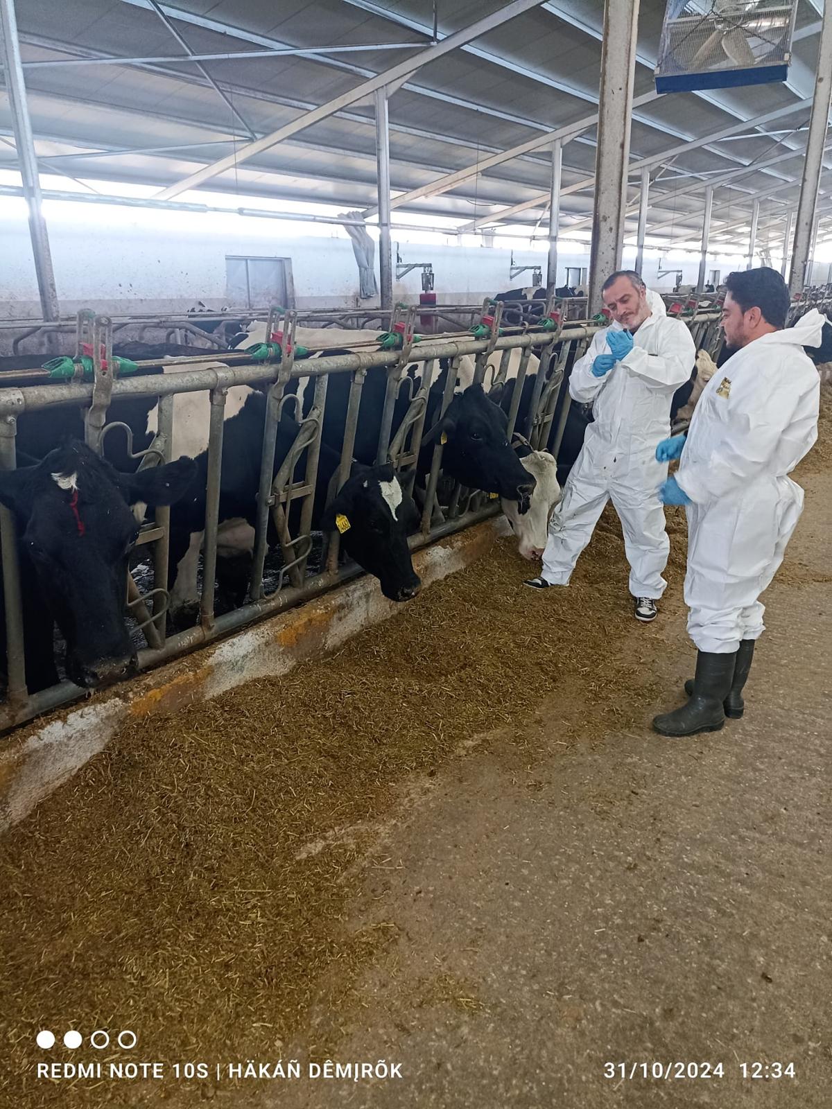 Veteriner Hekimlerden Burdur'daki Ari İşletmelere Tam Destek 2