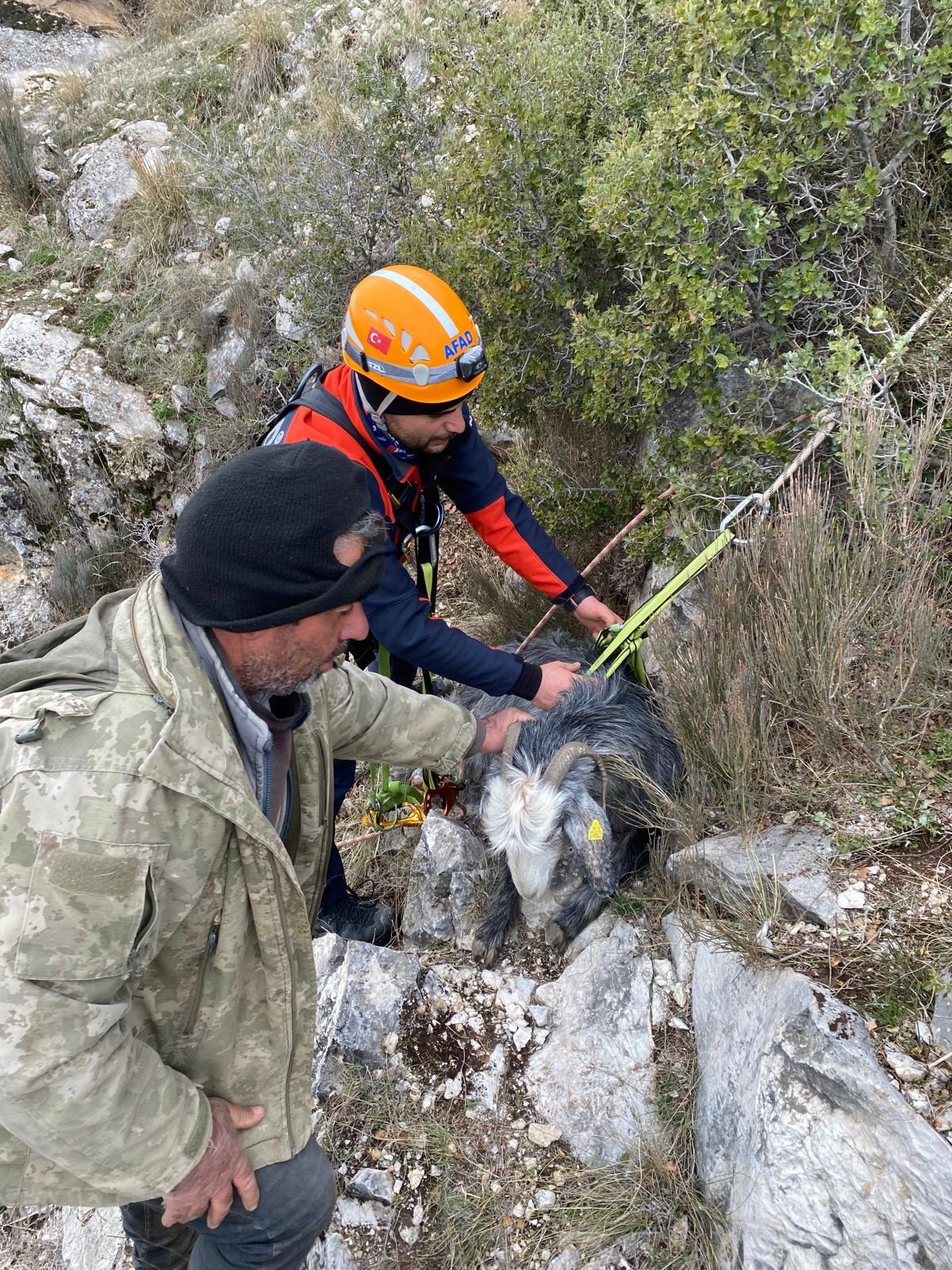 Burdur'da Dağda Mahsur Kalan Keçiyi Afad Kurtardı 2