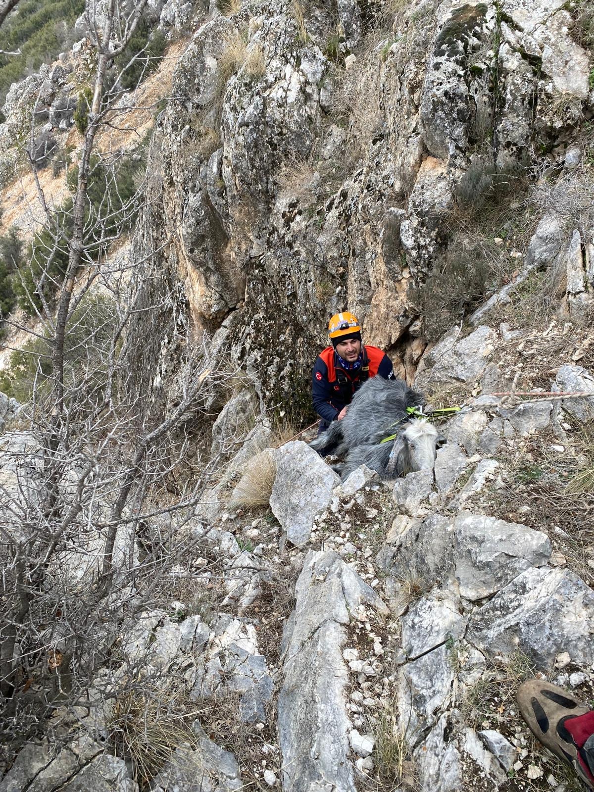 Burdur'da Dağda Mahsur Kalan Keçiyi Afad Kurtardı