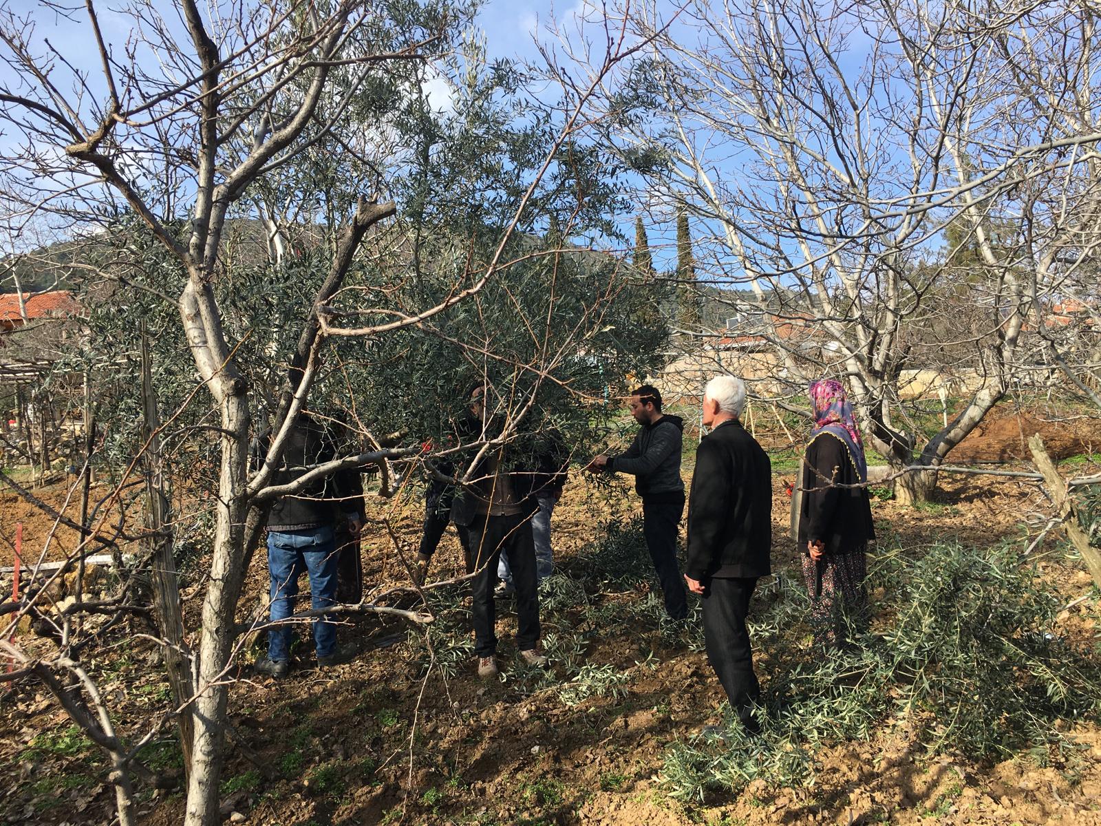 Burdurlu Çiftçiler Sahada Pratik Yapıyor 3