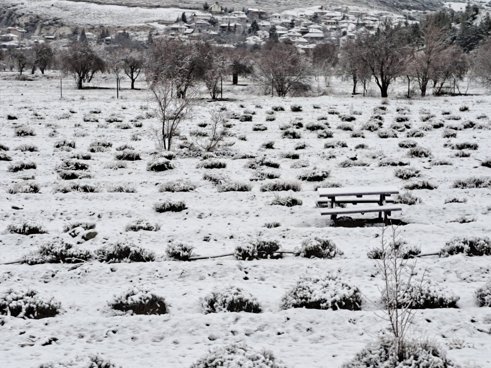 Burdur'un Yeşilova (2)