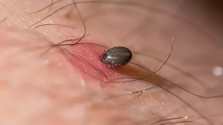 5F10301E5542811430525E7F
