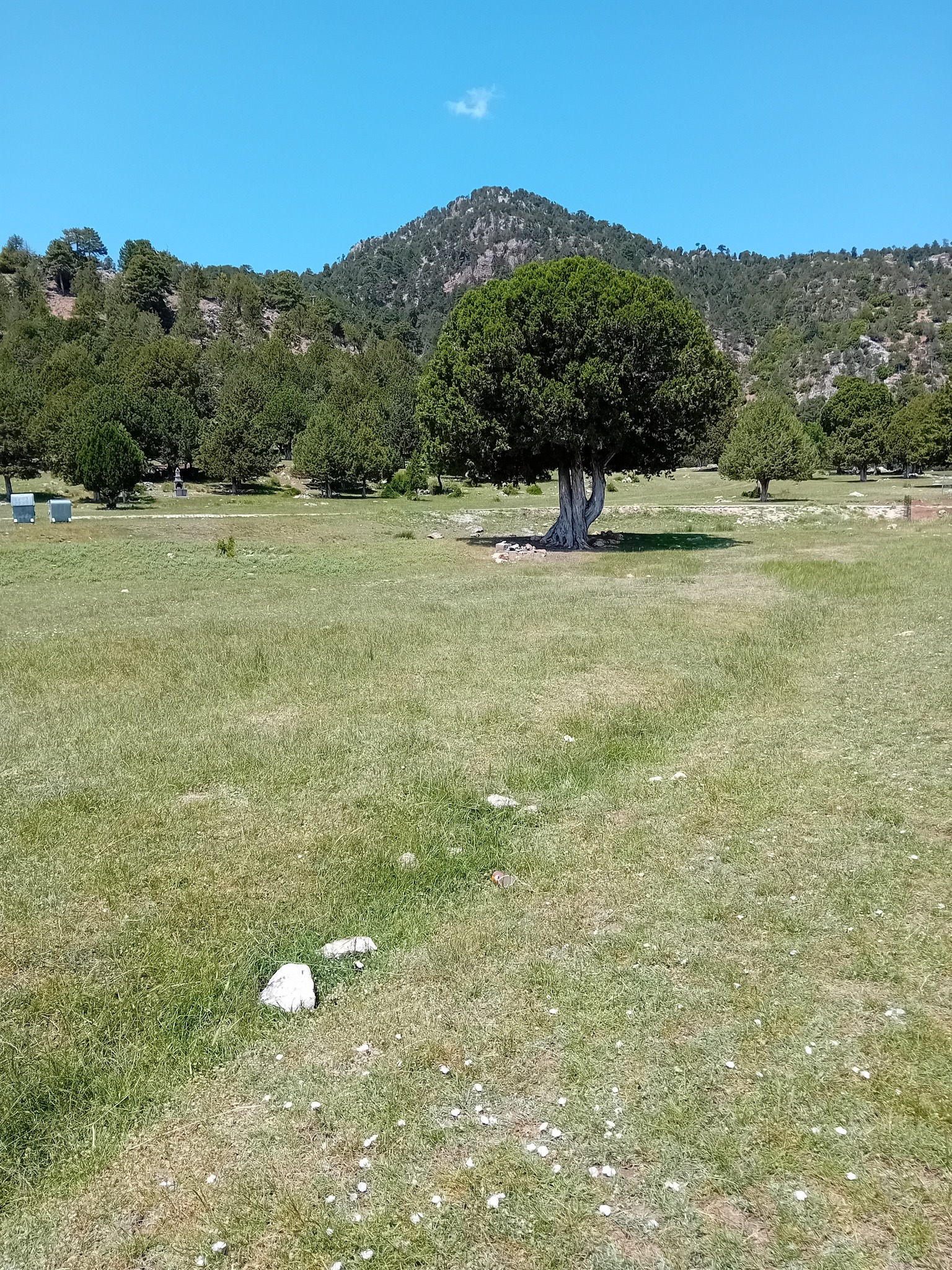 Gölhisar Böğrüdelik Yaylası (4)