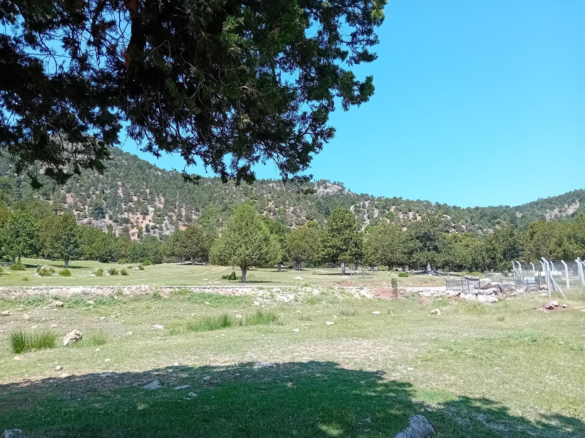 Gölhisar Böğrüdelik Yaylası (5)