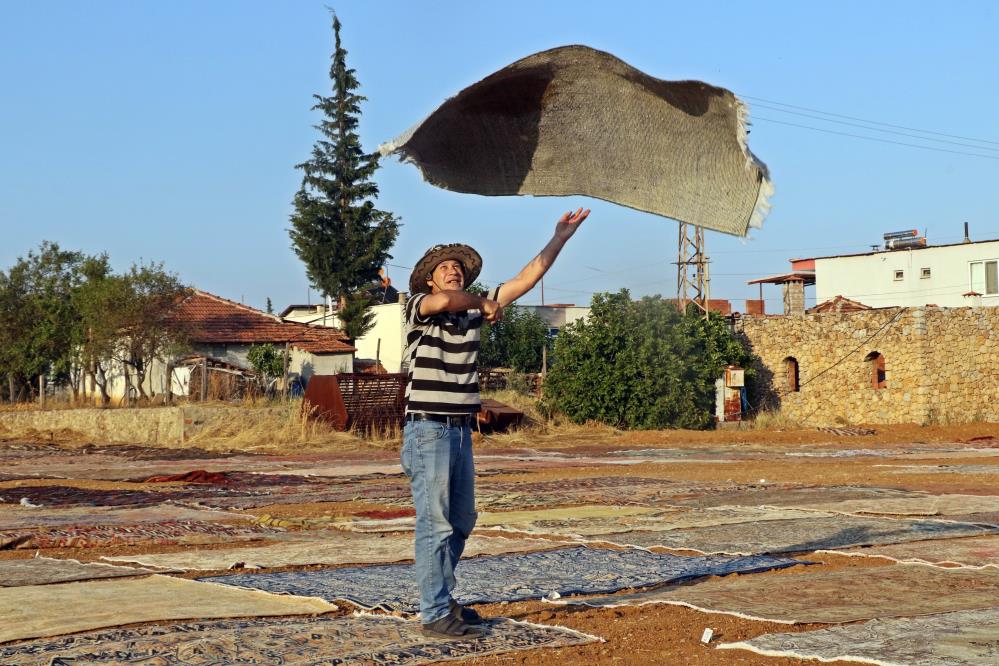 Hali Tarlasi (6)