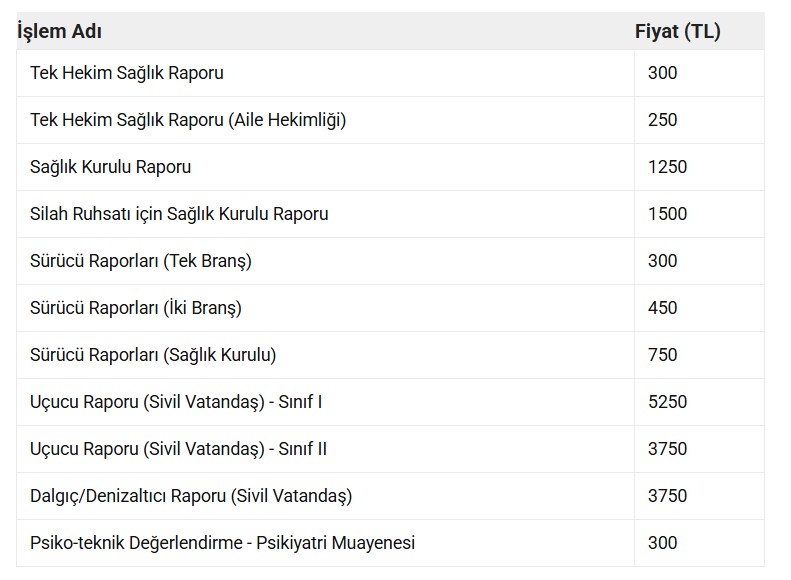 Rapor Ucretleri