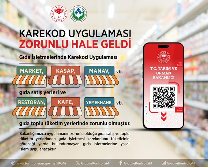 525127685 1057003369959728 1279176838208820190 N