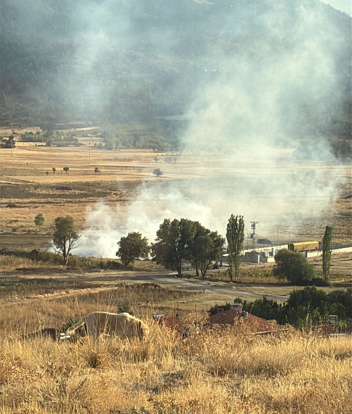 A W546639 01