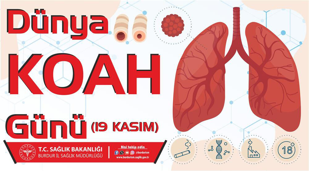 K O A H 3