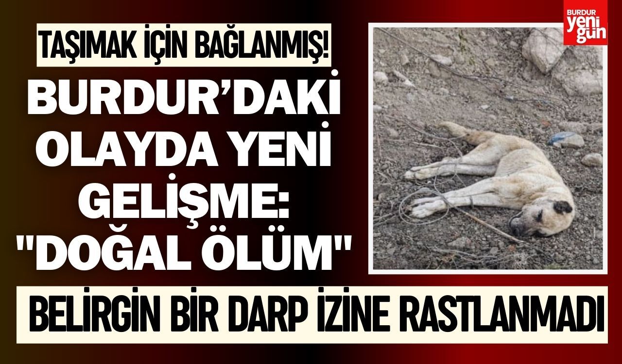 Köpek Burdur Doğal Ölüm