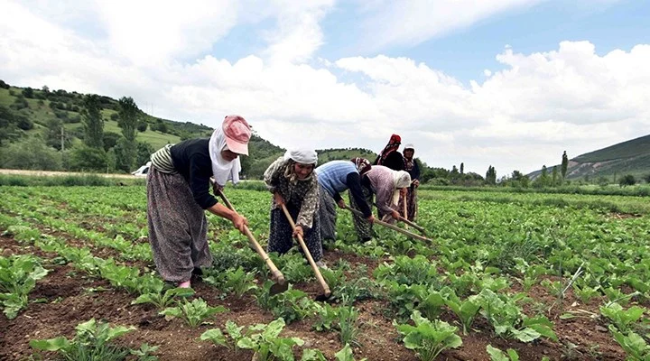 Kayitli Ciftci Sayisi Alarm Veriyor 1033737 5