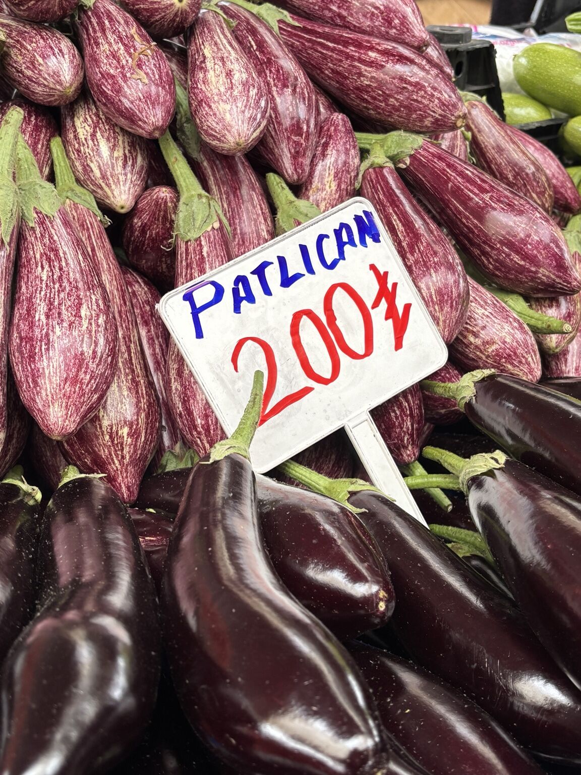 4 E33 D C91 1 E5 C 4 F98 8 C E B 31 C724 A C B88 B