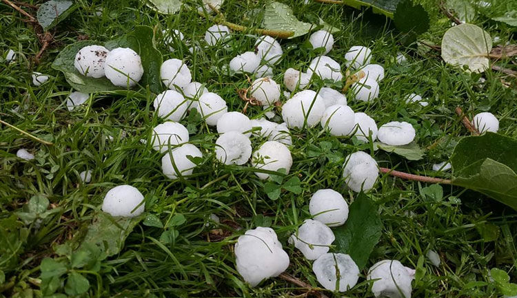 Oguzhan 2019 Mayis Dolu22