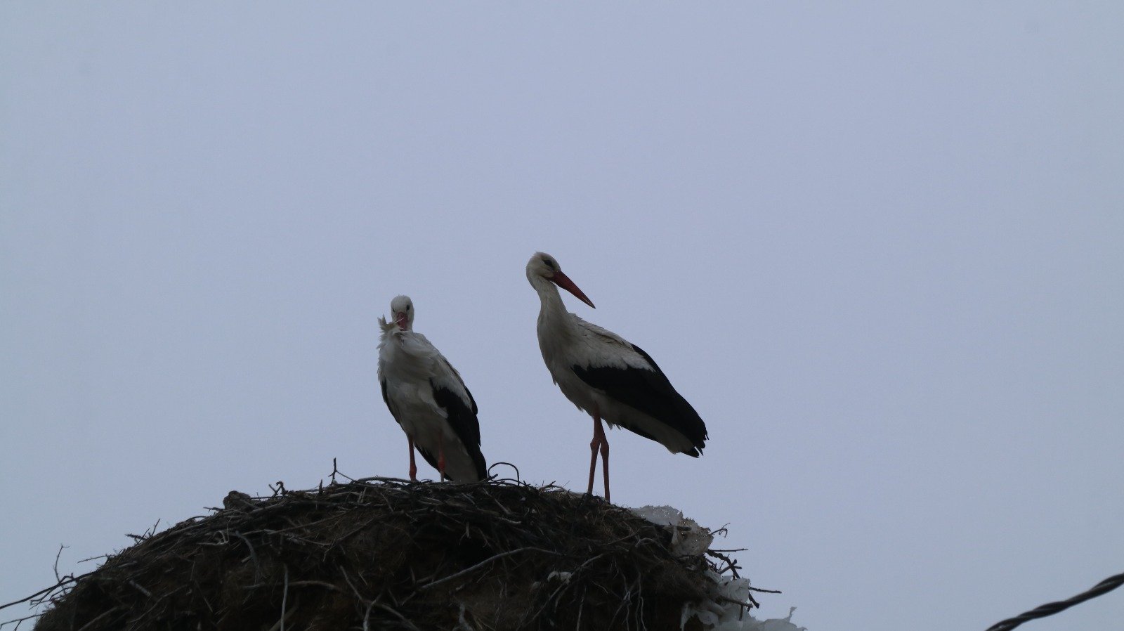 Whatsapp Image 2026 04 13 At 13.04.15 (1)