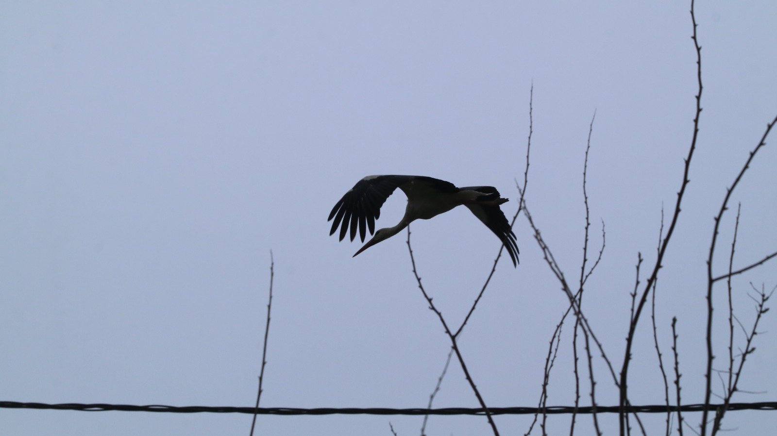 Whatsapp Image 2026 04 13 At 13.04.15 (3)