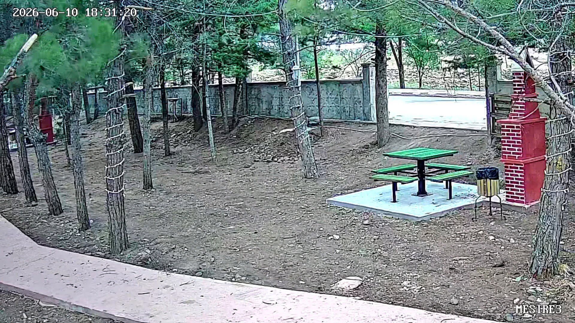 720101164 1540331834771403 4688818529831298819 N