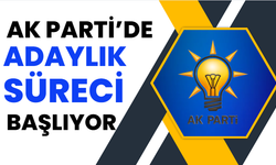 AK Parti'de adaylık süreci başlıyor