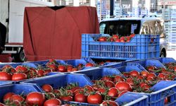 Antalya'da domates miktarı azaldı, sebze miktarı arttı