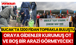 Bucak'ta 1200 fidan toprakla buluştu