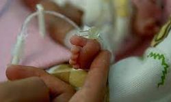 Prematüre Bebeklerin Bakımı Nasıl Olmalıdır?