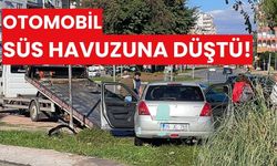 Otomobil süs havuzuna düştü