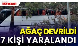 Servis otobüsünün üstüne ağaç devrildi 7 kişi yaralandı