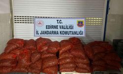 Edirne'de kum midyesi baskını