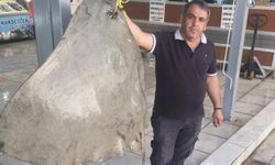 Balıkçıların ağına 120 kilogramlık vatoz takıldı