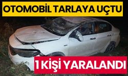 Otomobil tarlaya uçtu:1 yaralı