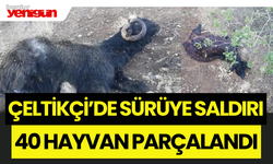 Çeltikçi'de Sürüye Saldırı: 40 Hayvan Parçalandı!