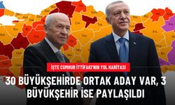 AK Parti ve MHP'nin yerel seçimlerde 3 il için yol haritası belli oldu