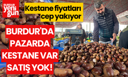 Kestane fiyatları cep yakıyor...Burdur'da pazarda kestane var satış yok!