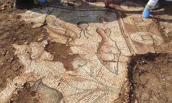 Mardin'de kurtarma kazısında mozaiklerde deniz canlıları figürleri bulundu