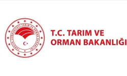 Tarım ve Orman Bakanlığı 7 bin 158 personel alımı başladı mı, nereden başvurulur, ne zaman?