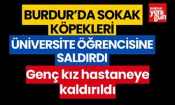 Burdur’da sokak köpekleri genç kızı hastanelik etti